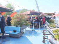 0-DSCF6603