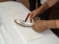 DSC 0182